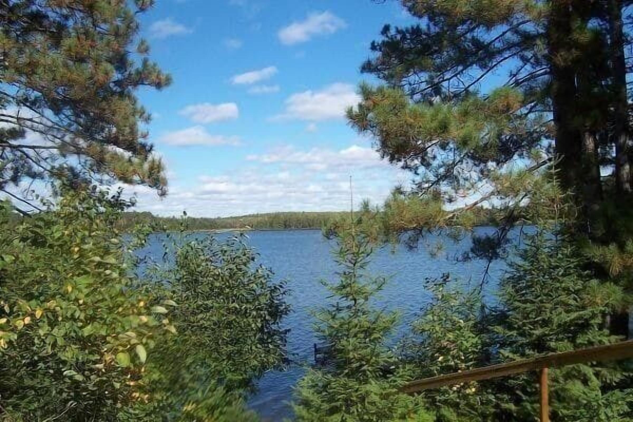 Un lago circondato da alberi fitti e una ringhiera di legno.