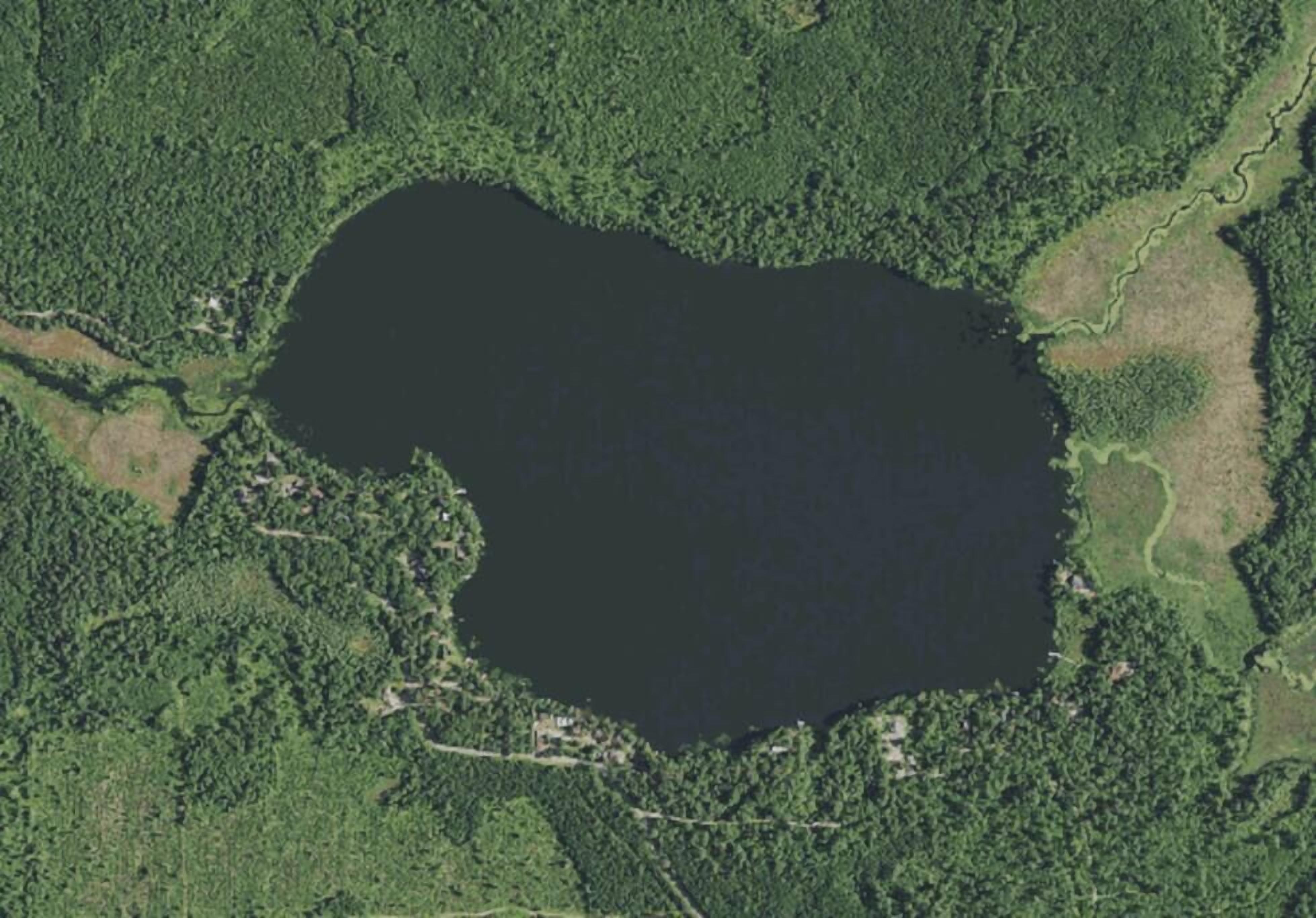 Un grand lac entouré d’une forêt dense.