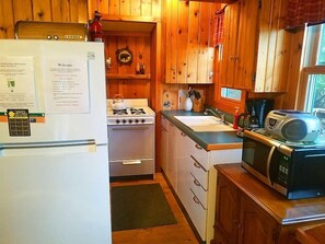 Private kitchen - Knotty Pine: Norway - On Lake Minocqua (Minocqua)