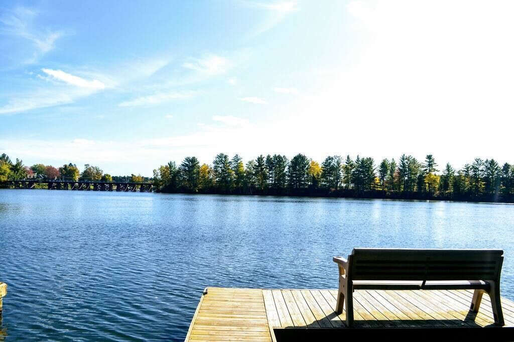 A wooden dock extending into a calm lake with a bench on it, surrounded by trees and a clear sky.