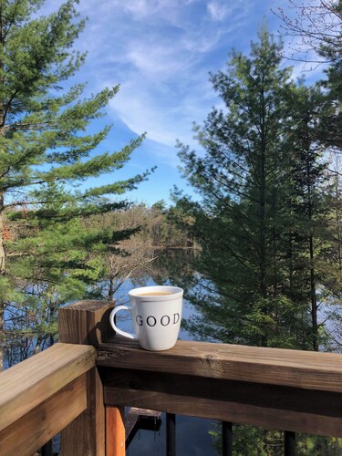 Iggy & Al's Treehouse: Northwoods Getaway