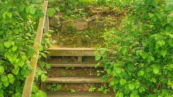 Cabana, várias camas, cozinha, vista para o jardim (GS - Hungry Bear) | Vista do quarto