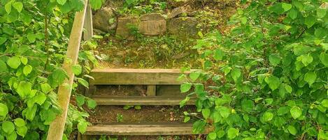 Cabin, Multiple Beds, Kitchen, Garden View (GS - Hungry Bear) | View from room