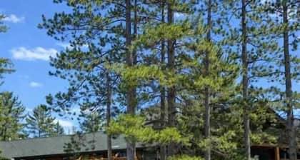Minocqua Lake Condo B10