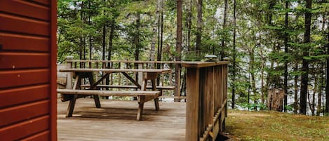 小屋, 多張床, 廚房, 花園景 (Old Stoney's Musky) | 客房景觀