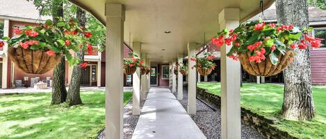 Parco della struttura