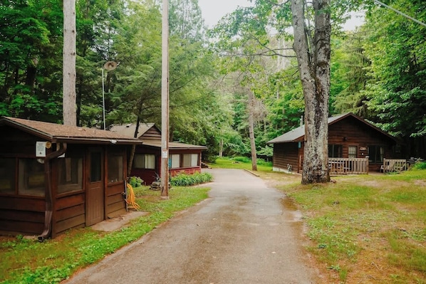 Property grounds - Old Stoney's Perch - Big Arbor Vitae Lake (Woodruff)