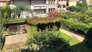 Ein Wohngebiet mit Garten, einem kleinen Teich und einem Gebäude mit Ziegeldach.