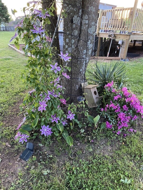 Un jardín con un árbol, flores moradas y una estructura de madera.