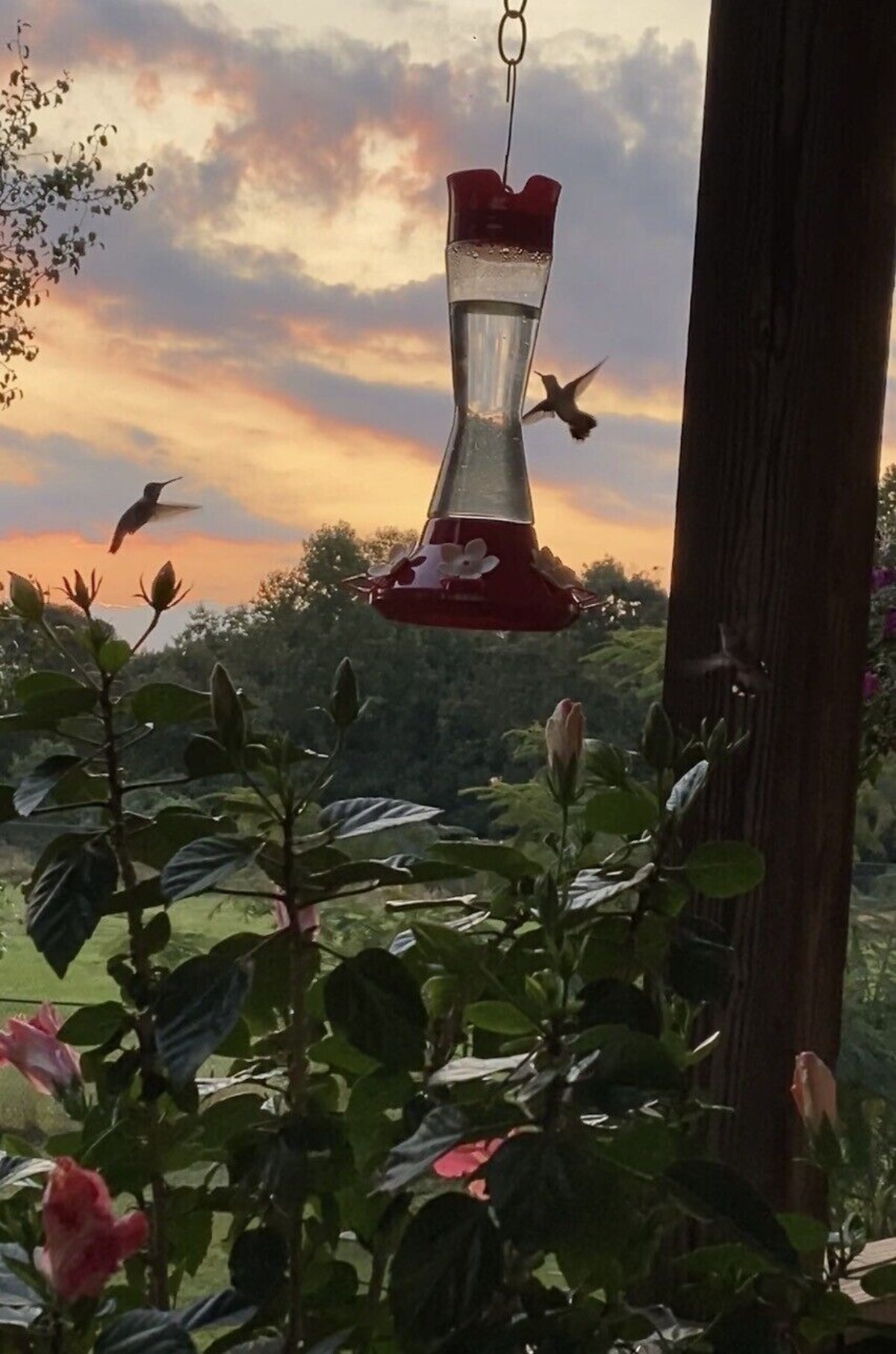 Imagen de perfil del propietario o de la propietaria