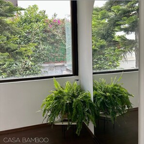 Interior - Casa Bamboo (Mexico City)