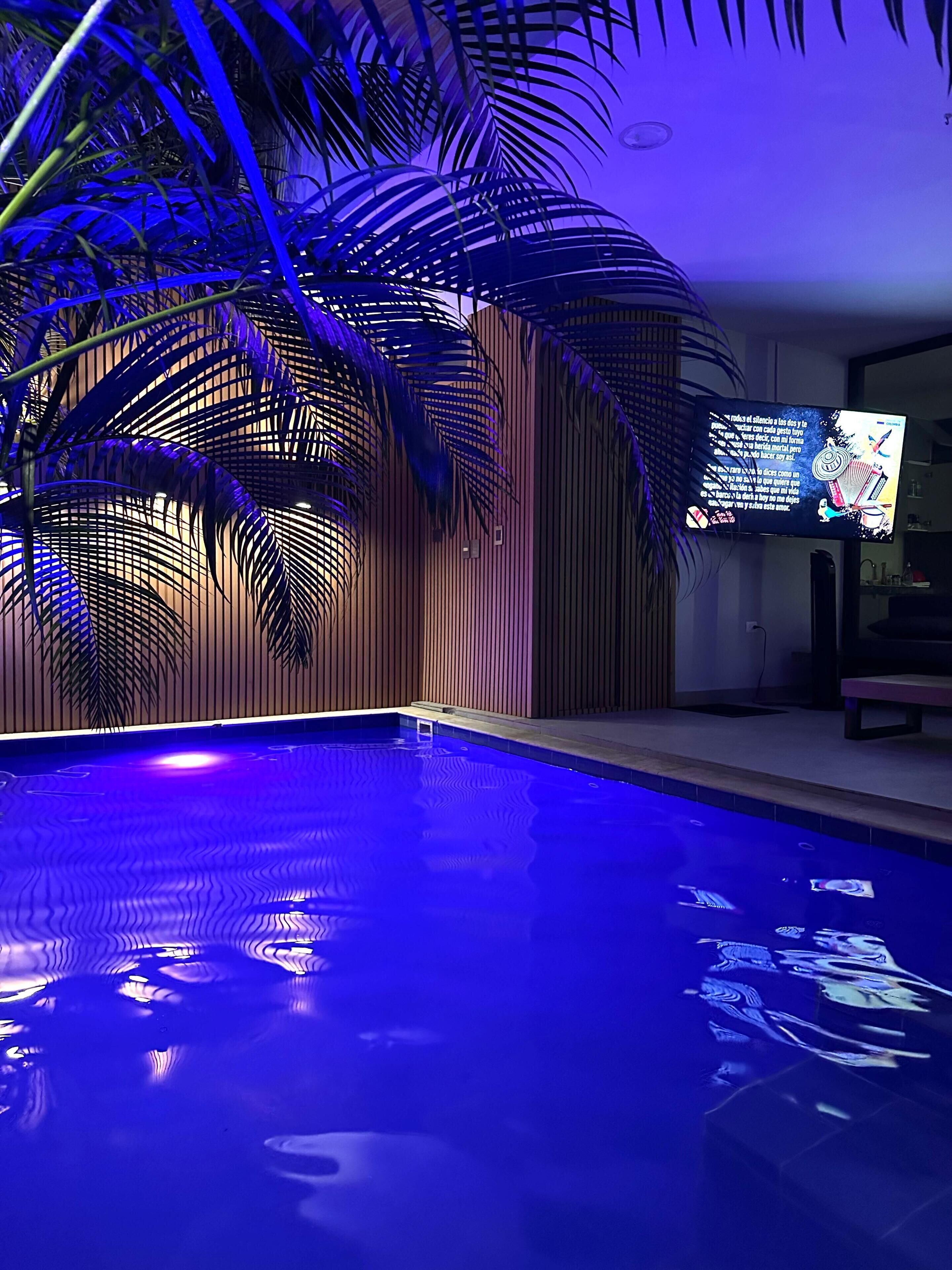 A swimming pool with blue lighting, surrounded by palm trees and a television screen displaying a program.