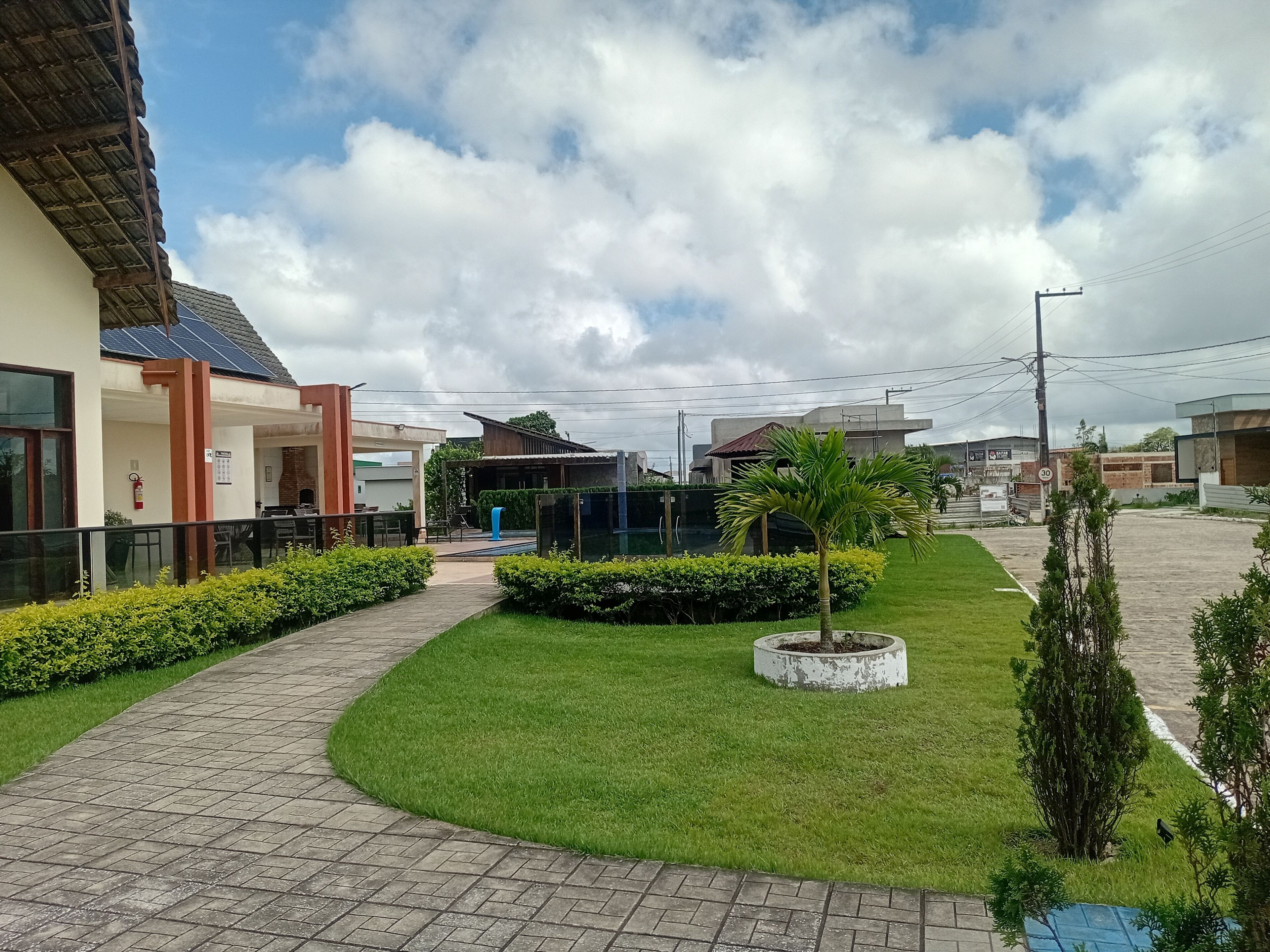 A courtyard with a paved walkway, green lawn, and a small palm tree.