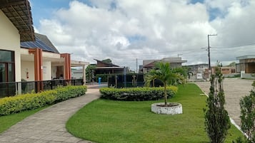 A courtyard with a paved walkway, green lawn, and a small palm tree.