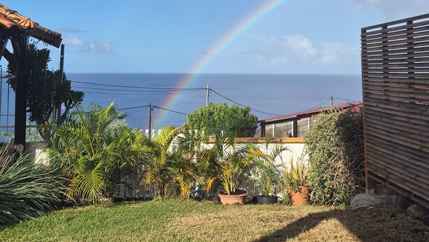 A view of a garden with a wooden deck, potted plants, and a clear sky with a rainbow.