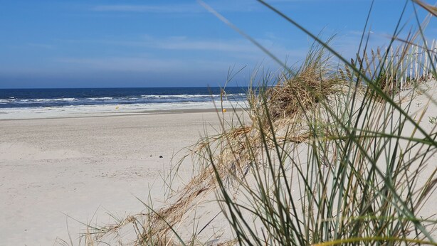Een strand met zand en golven, met gras op de voorgrond.