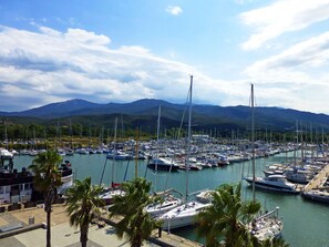 A marina with numerous boats docked, surrounded by palm trees and mountains in the background.
