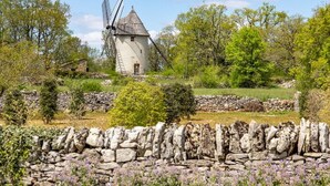 Un molino de viento en un entorno rural con muros de piedra y vegetación.