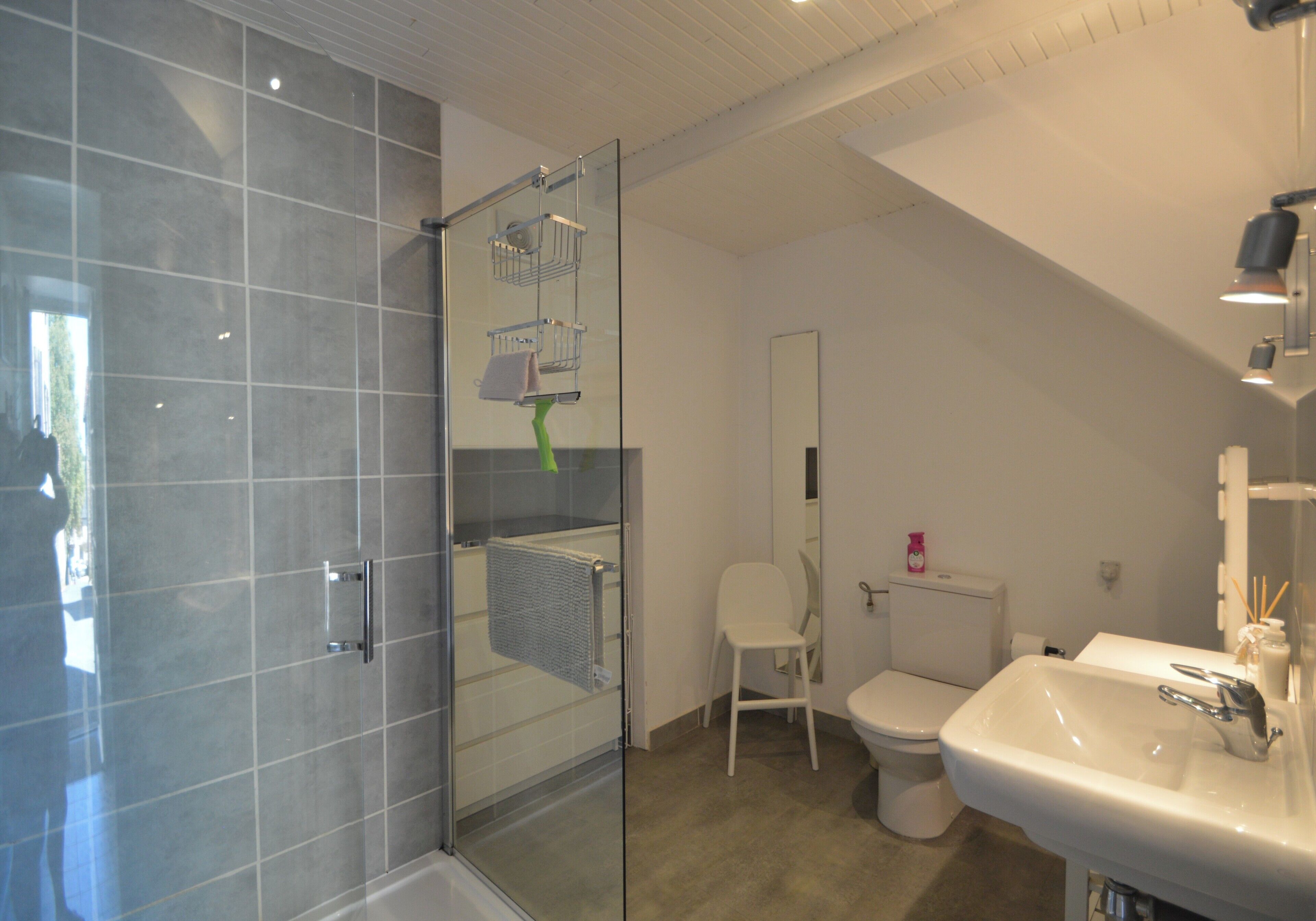 A modern bathroom with a glass shower enclosure, a toilet, and a sink.