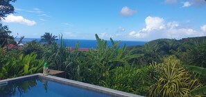 A pool surrounded by lush tropical vegetation and a view of the ocean. - Villa Melodie a grande Anse Deshaies (Deshaies)