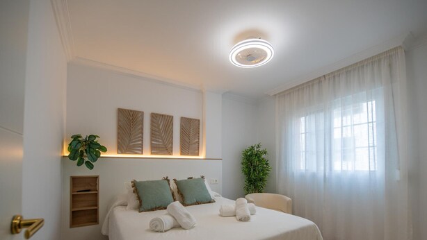 Ein Hotelzimmer mit einem großen Bett, einer Zimmerpflanze, einem Wandregal und einem Fenster mit Vorhängen.