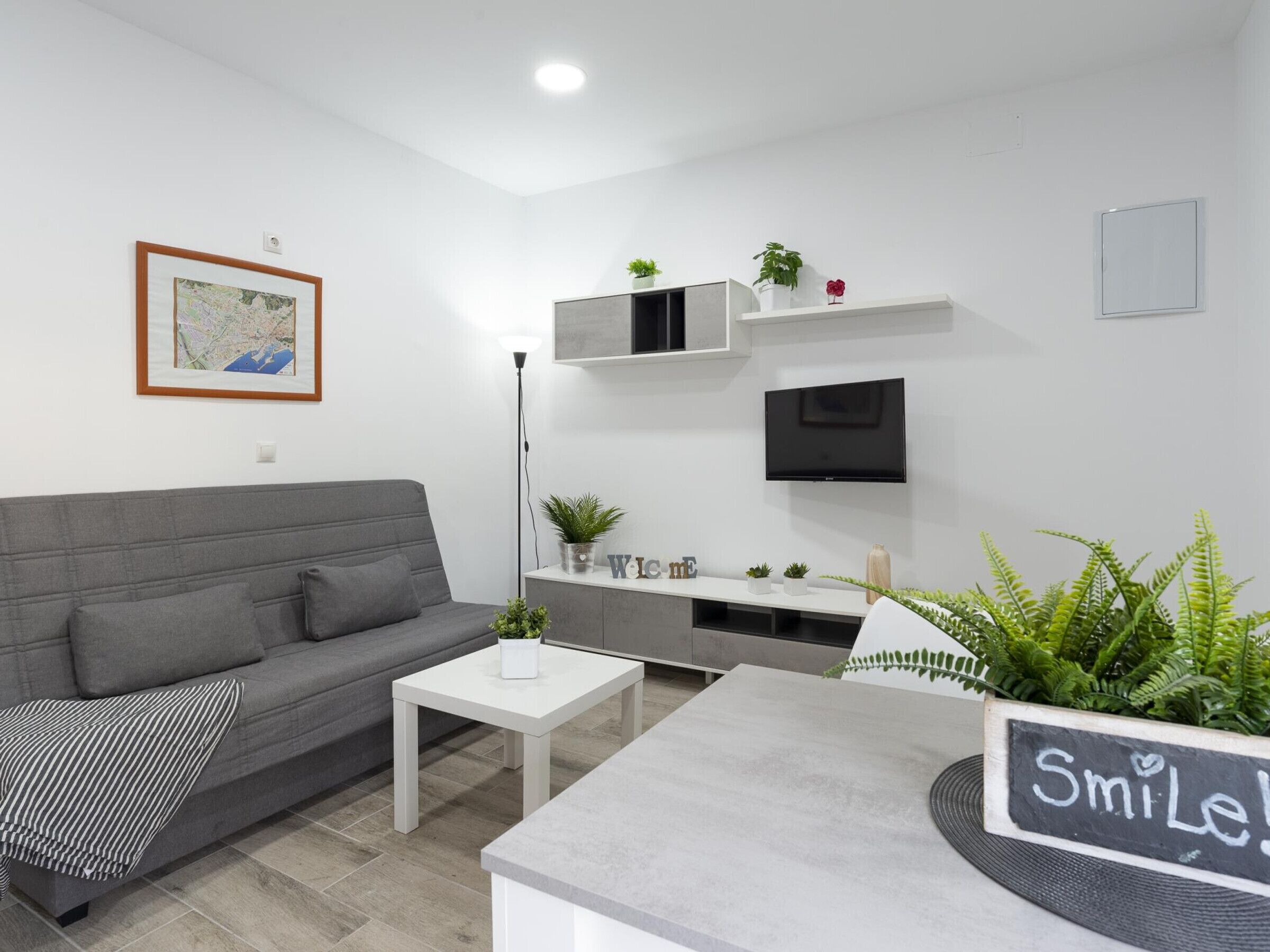 Fernseher