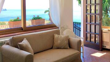 Smart TV, caminetto, libri