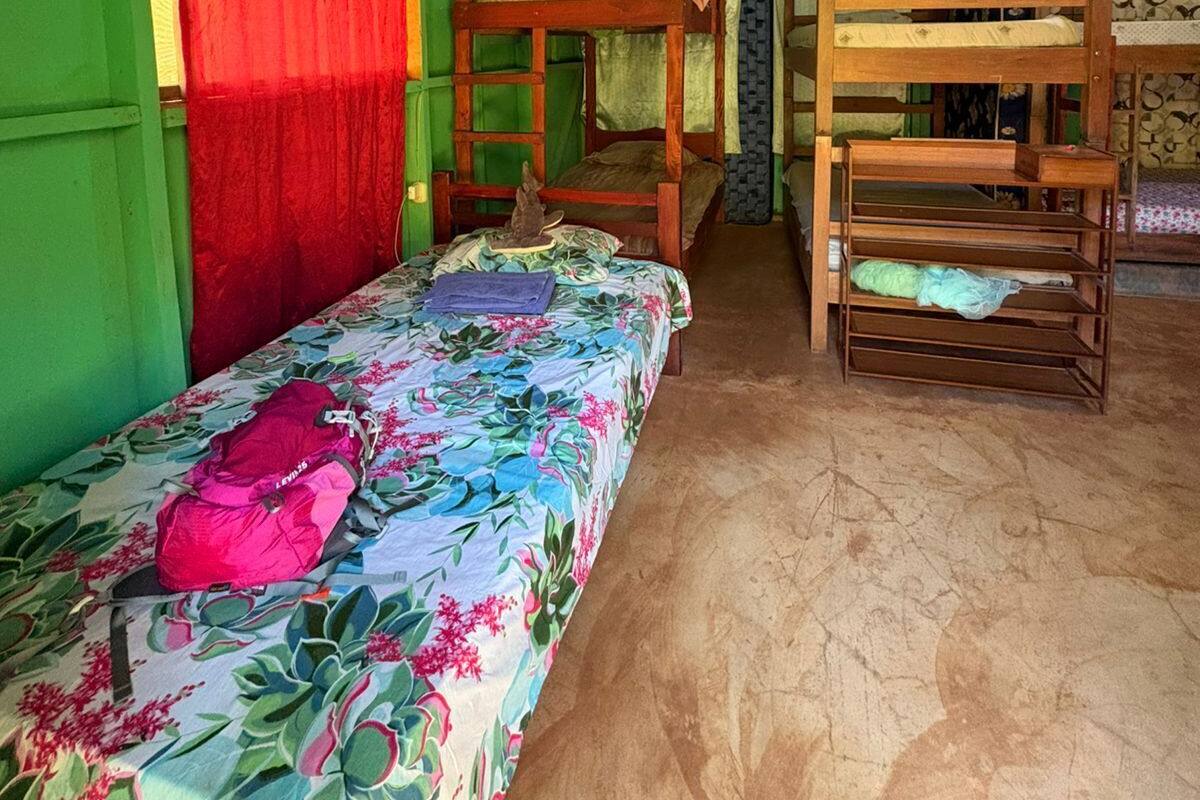 A room with bunk beds, a bed with a floral bedspread, and green walls.