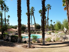 Pool - Views in Palm Desert 2-bedroom condo (Palm Desert)