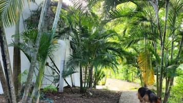 Terrein van de accommodatie