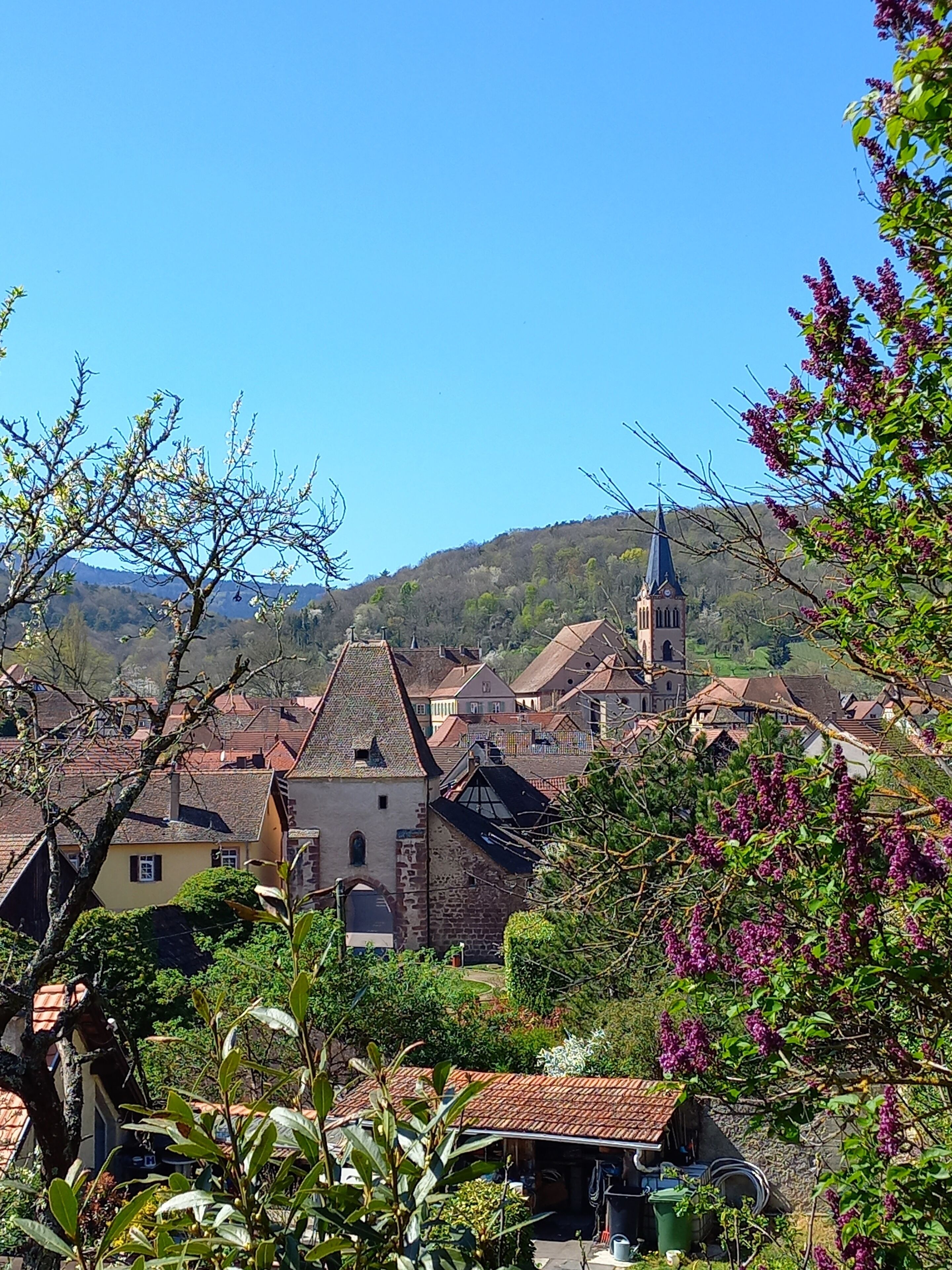 A town with traditional architecture, including a church with a spire, surrounded by residential buildings and greenery.