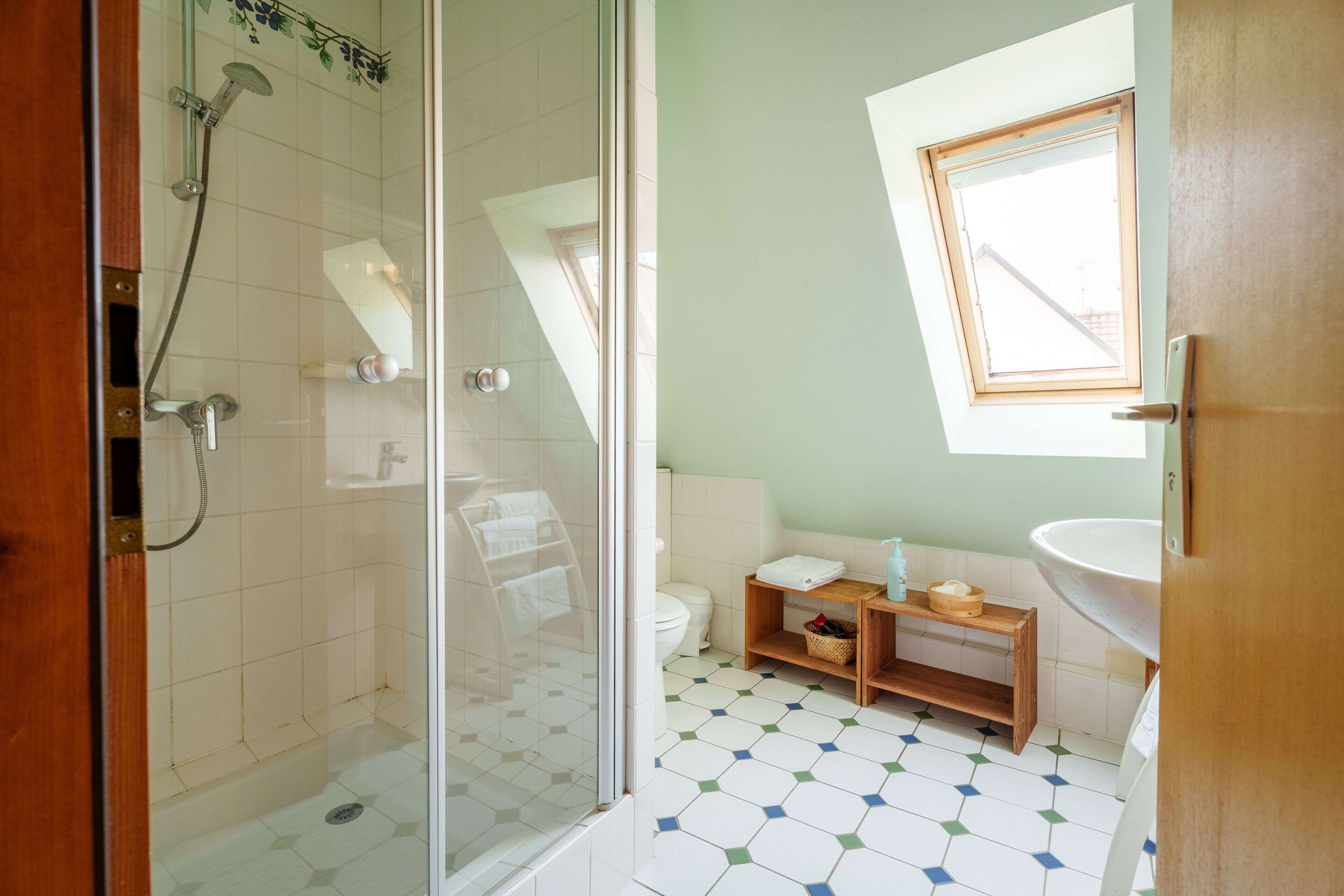 Shower, hair dryer, towels