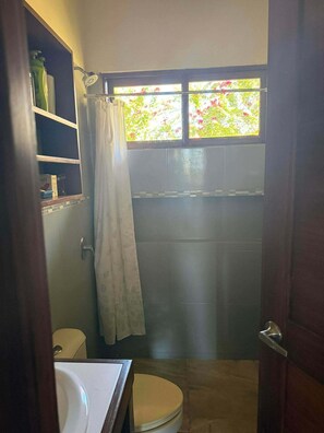 Hair dryer, towels, soap, toilet paper