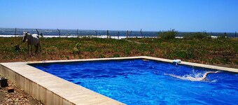 WATERFRONT ESCAPE WITH AMAZING POOL!