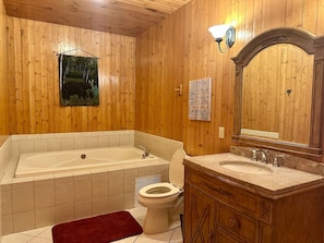 Hair dryer, towels - Blushing Bear Stunning Views (Sevierville)