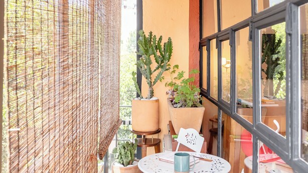 A sunlit patio with a table and chairs, potted plants, and a view of the street. - Roma Norte - Sunny and Mid-Century Modern Casa Apache (Ciudad de México)