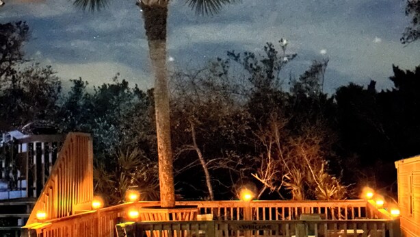 A wooden deck with a palm tree, a wooden fence, and a sign that reads "WELCOME".
