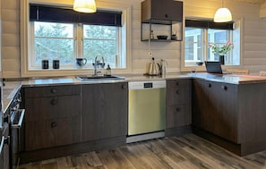 Fridge, microwave, dishwasher, coffee/tea maker - Stunning home in Løgstør with sauna (Løgstør)