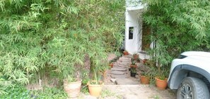 A narrow stone pathway leading to a white building surrounded by dense bamboo foliage. - Great Sea View Mountain Villa Koh Samui (Koh Samui)