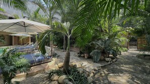 Property grounds - Hotel Gallo de Mar Room#2 Queen + AC (Brisas de Zicatela)