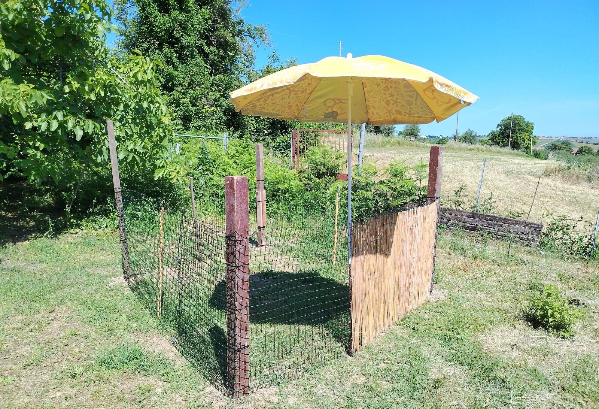 A fenced area with a wooden structure and a yellow umbrella.