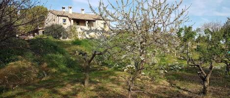 Terrain de lâhĂ©bergement