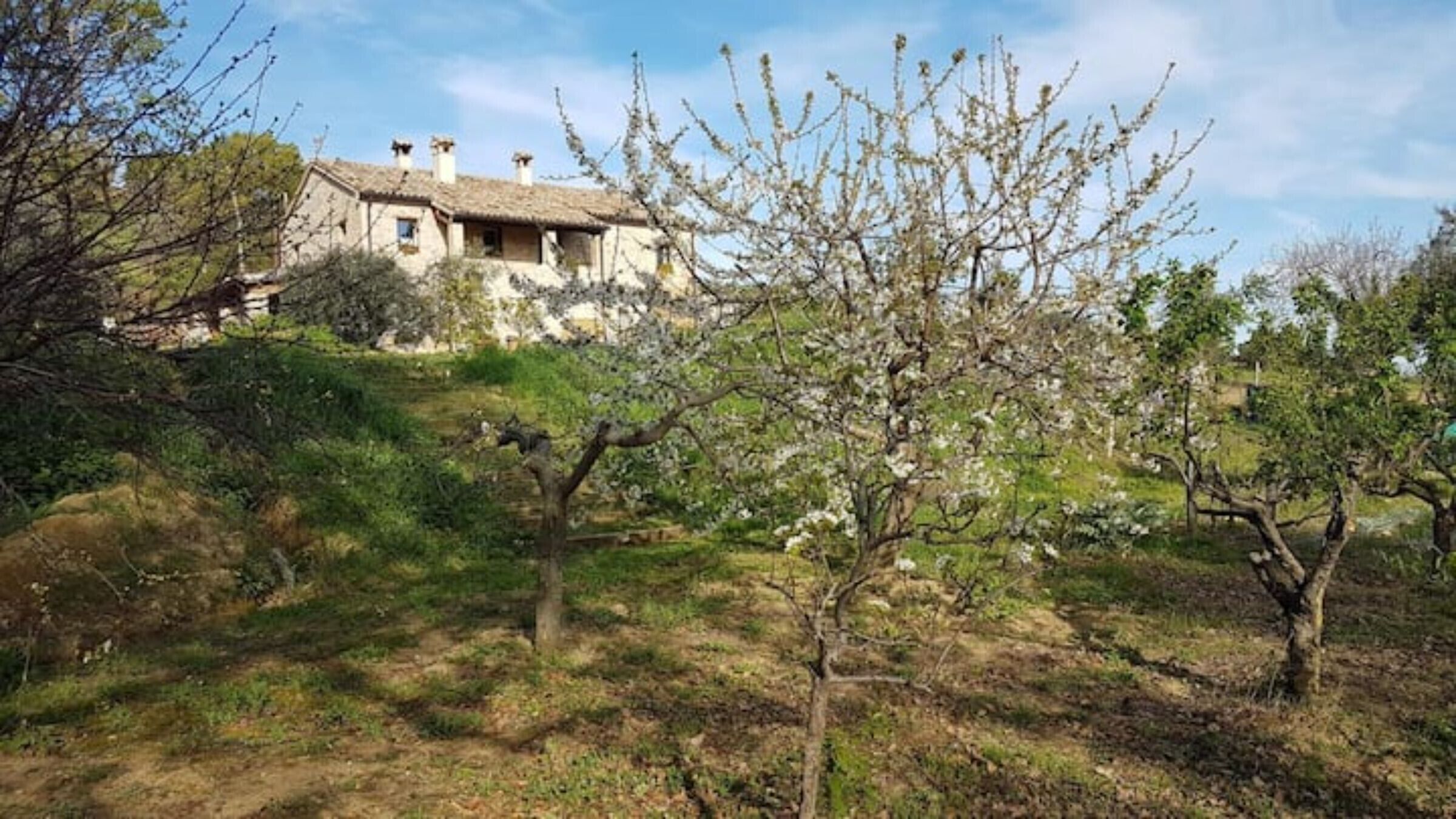 Jardines del alojamiento