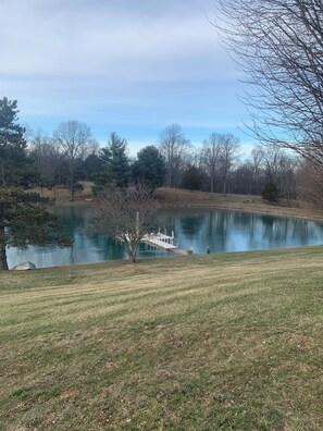 Property grounds - FEBRUARY SPECIAL!  Getaway and snuggle up with a loved one in a cabin and a fire (Camden)