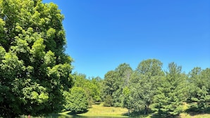 Une zone herbeuse avec un lac, des arbres et une jetée équipée de chaises.