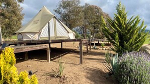A tent set up on a wooden platform in a natural setting with trees and plants around. - Cosmo Glamping (Valle de Guadalupe)