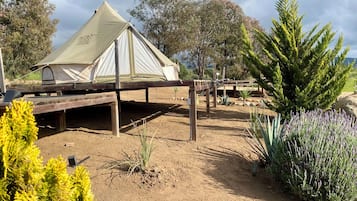 Classic Room, Vineyard View | Property grounds