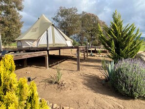 Classic Room, Vineyard View | Property grounds - Cosmo Glamping (Francisco Zarco)