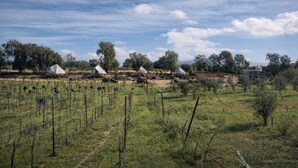 A rural landscape with several white tents and a few buildings, surrounded by fields and sparse vegetation. - Cosmo Glamping (Valle de Guadalupe)