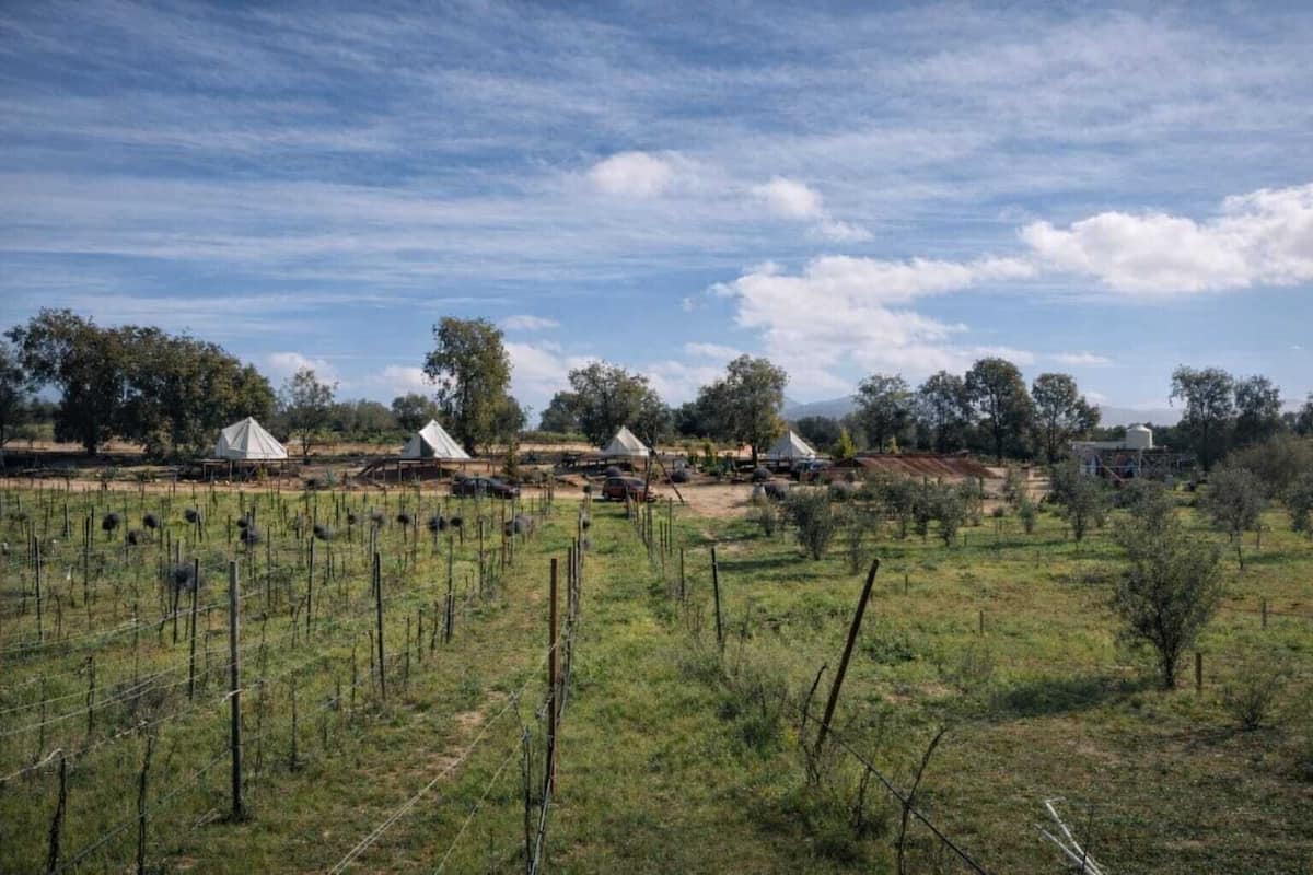 Un paysage rural avec plusieurs tentes blanches et quelques bâtiments, entouré de champs et d’une végétation clairsemée.